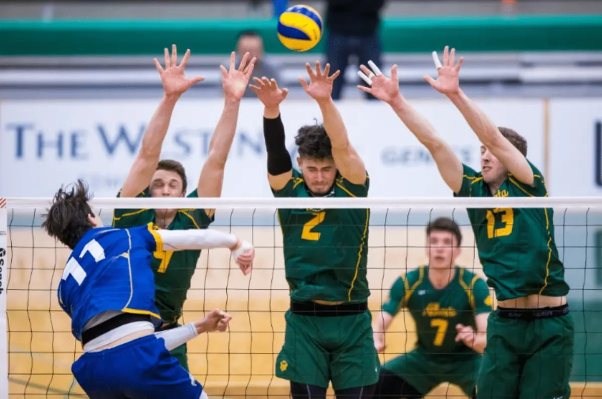 La coordinación y comunicación en el entrenamiento impulsa el rendimiento en ligas de voleibol.