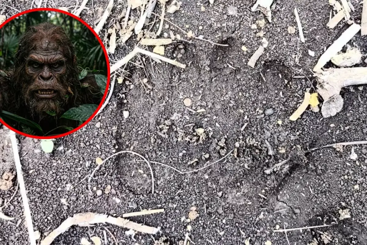 Un registro fotográfico en Yucatán reaviva la mítica figura del Sincinito, capturando el interés de exploradores y entusiastas.