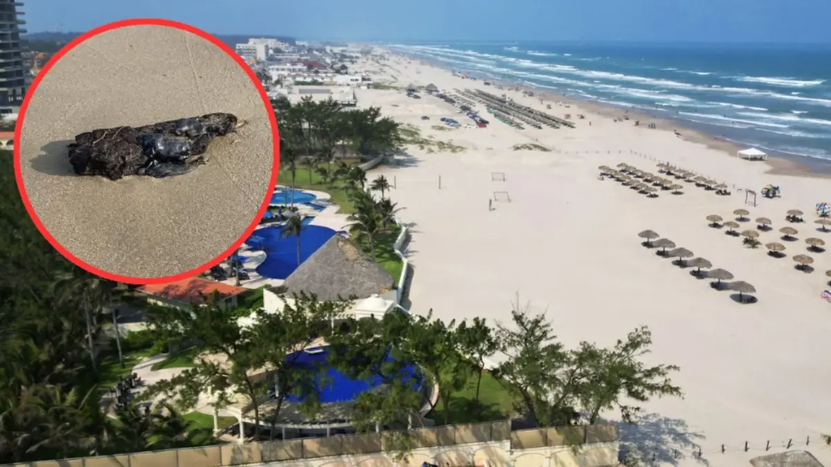 La contaminación por hidrocarburo impacta la costa y afecta a turistas y pescadores.