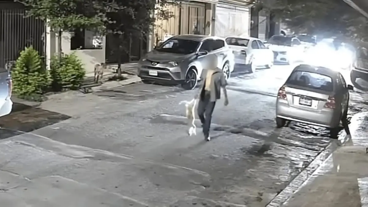 Un hombre fue arrestado tras causar la muerte de un perro en la colonia Residencial Cuauhtémoc, generando indignación entre los vecinos.