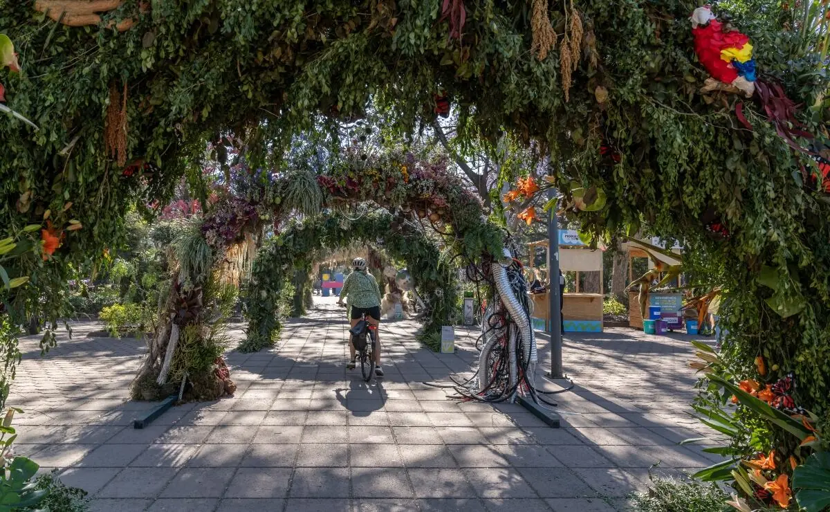 Polanco albergará un vibrante festival con exposiciones y actividades para disfrutar de la naturaleza del 30 de abril al 3 de mayo.