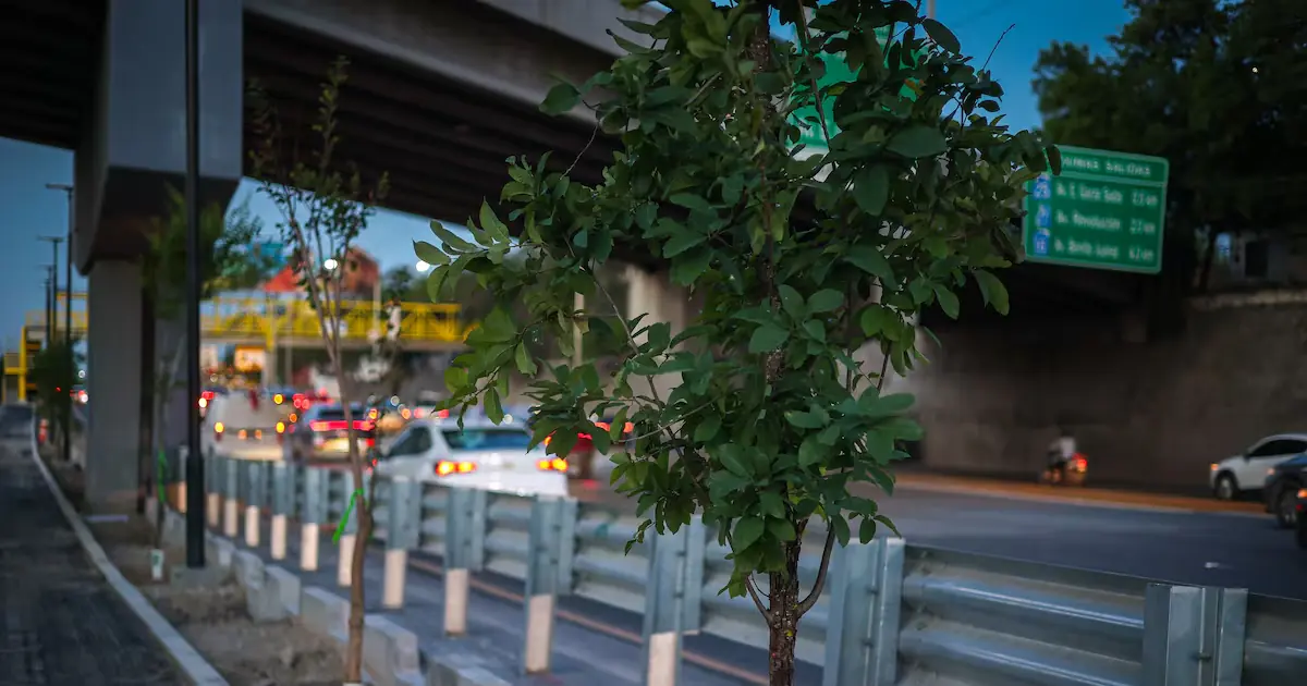 El proyecto busca mejorar la calidad de vida y el entorno urbano en Monterrey.