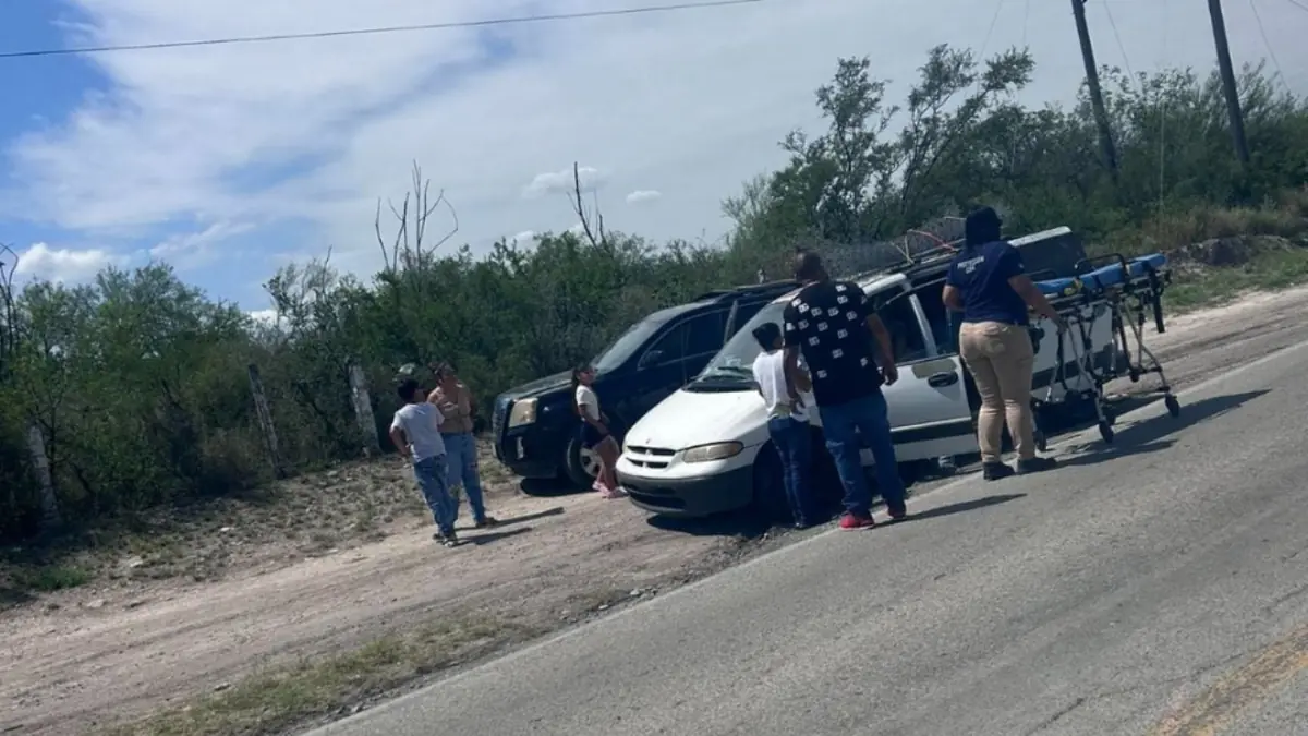 Un hombre falleció tras un ataque de abejas mientras cortaba flores.