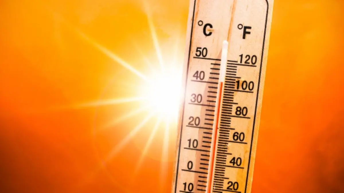 Nuevo León podría ser uno de los estados más impactados por la canícula, con temperaturas extremas y reducción de lluvias.