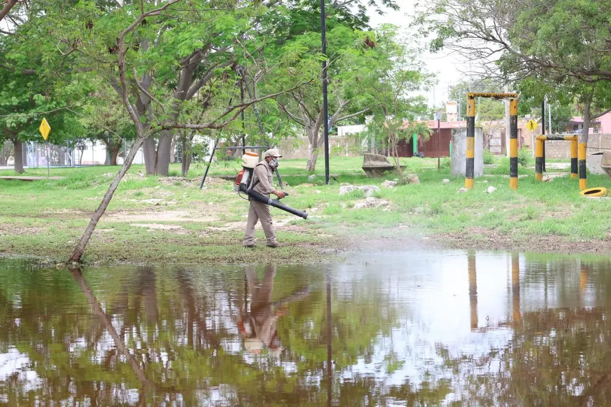 El Gobierno del Estado refuerza medidas de salud en parques durante la temporada de lluvias.