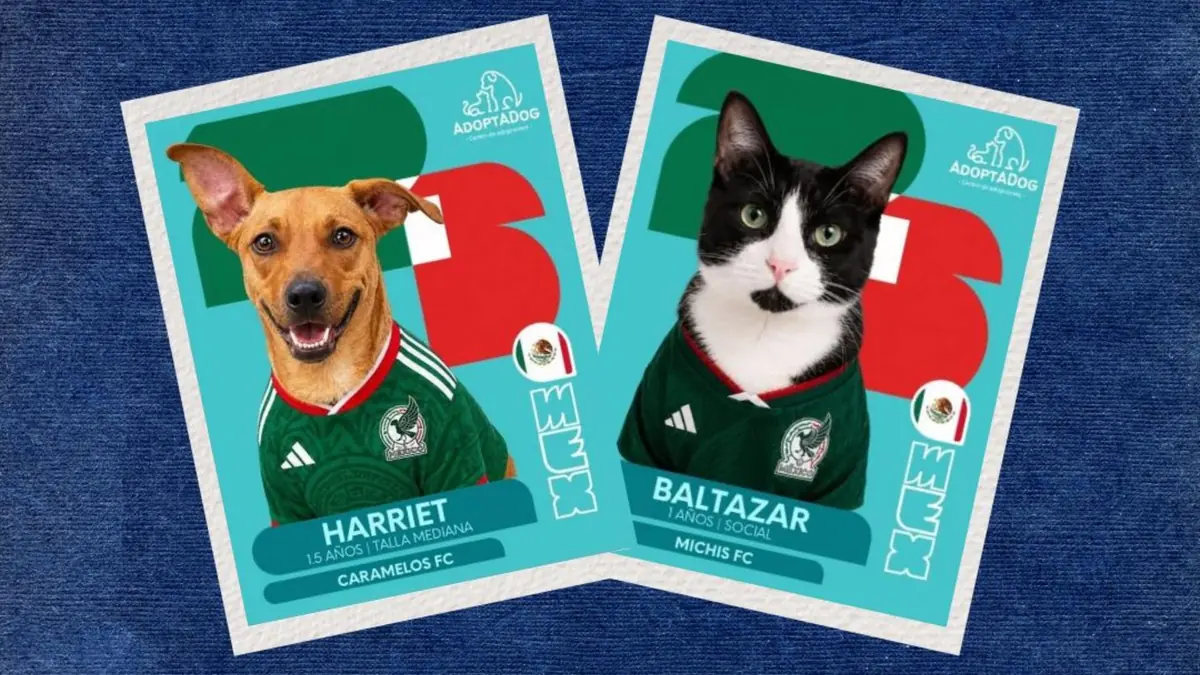 Iniciativa creativa promueve la adopción de mascotas durante la fiebre mundialista.