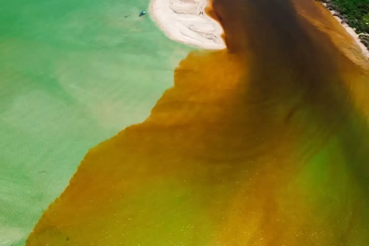 La coloración rojiza en las aguas de Chuburná ocurre por un fenómeno natural durante la temporada de lluvias.
