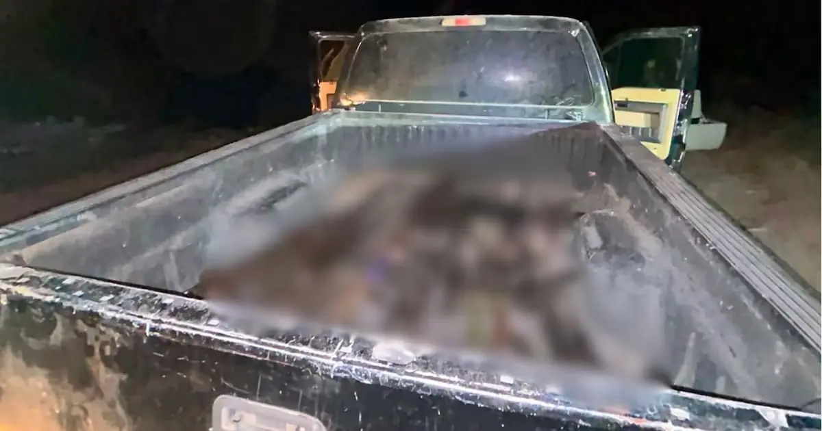 Se encontraron 50 armas de fuego y municiones en un operativo federal.