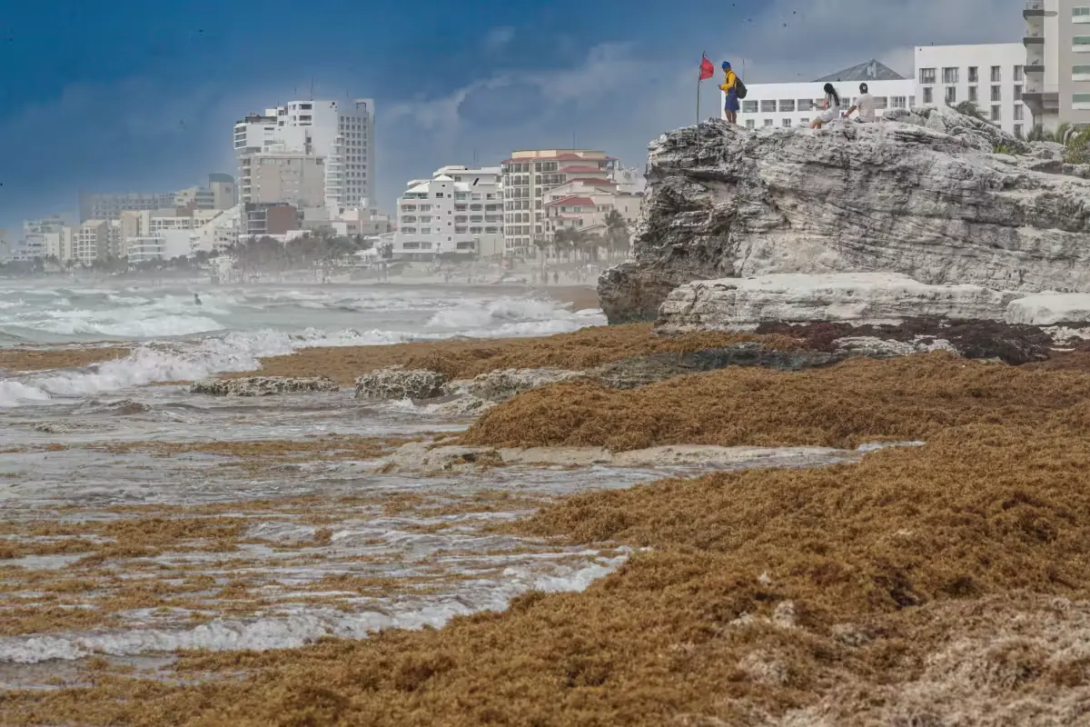 Temperaturas elevadas amenazan los ecosistemas marinos y la industria pesquera en la región.