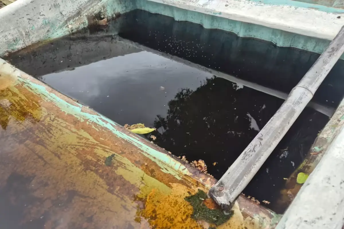 Las embarcaciones sin uso acumulan agua y generan riesgo Sanitario en la zona pesquera.