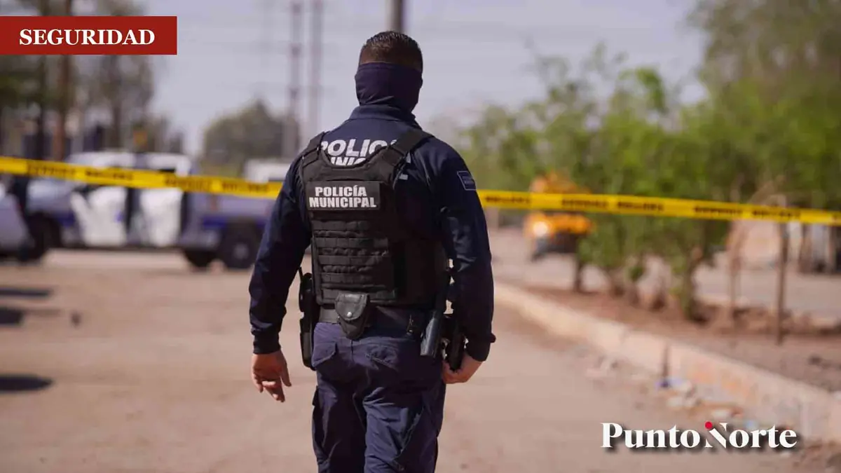 Un hallazgo macabro inquieta a la comunidad de San Felipe tras el descubrimiento de un hombre decapitado.