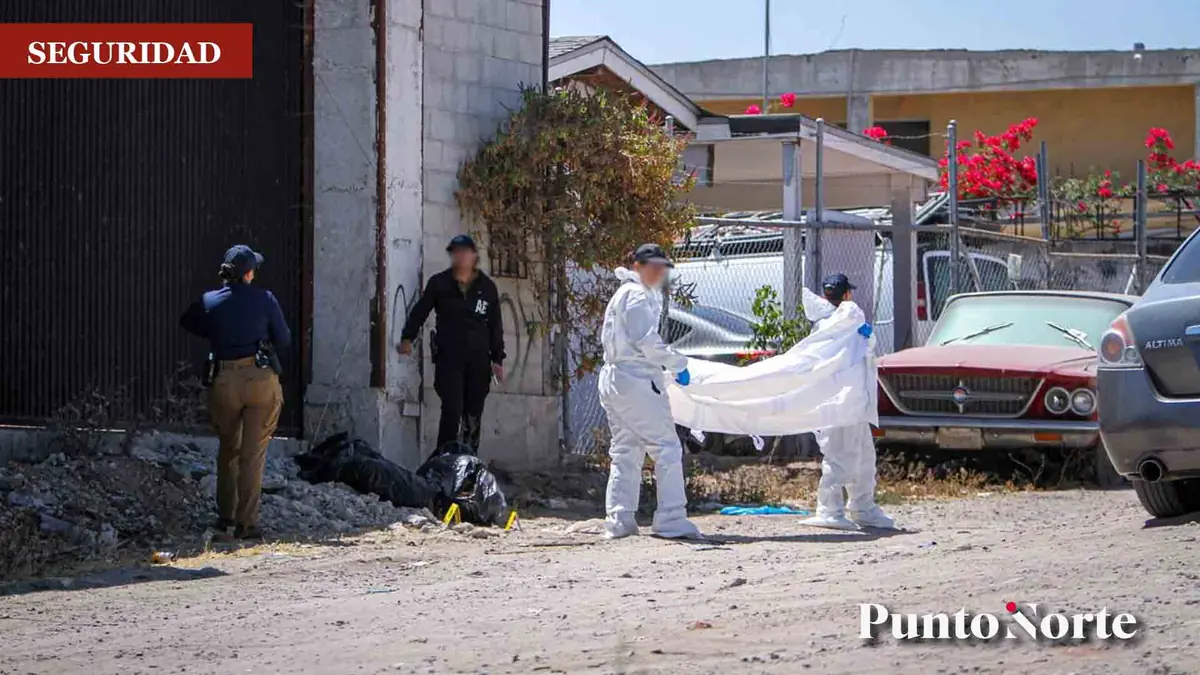 El hallazgo se registró en el Ejido Francisco Villa y aún no han sido identificadas.