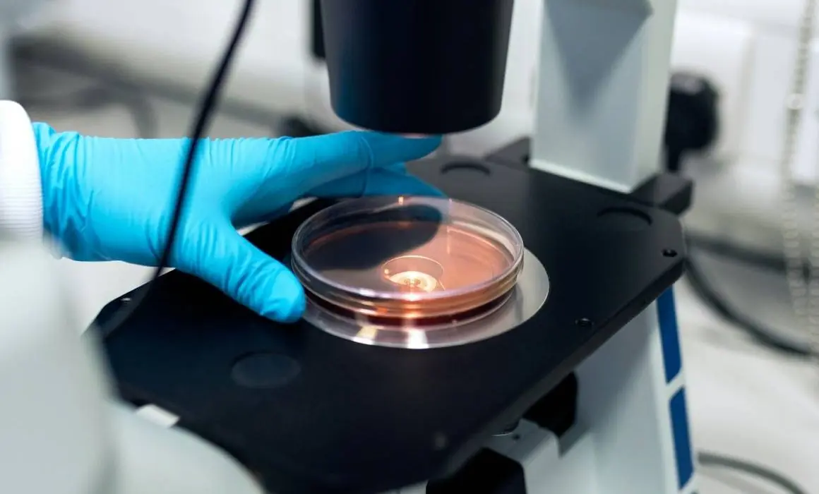 La infección por Vibrio vulnificus puede ser fatal y requiere atención inmediata.