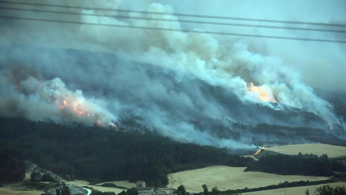Las llamas se propagan rápidamente, afectando la vegetación y evacuando comunidades cercanas.