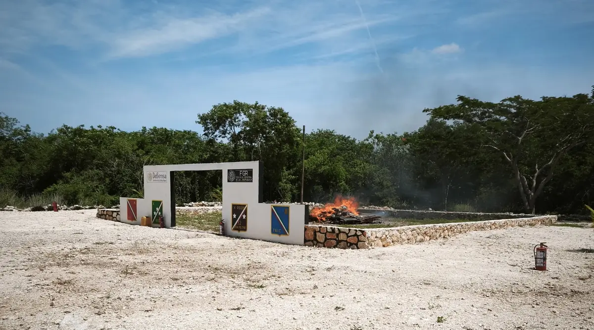 Autoridades federales destruyen sustancias ilegales para reforzar la justicia en la entidad.