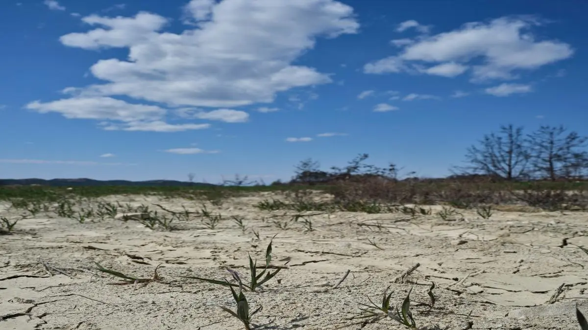 La falta de lluvias aumenta el impacto de la sequía en varias entidades del país.