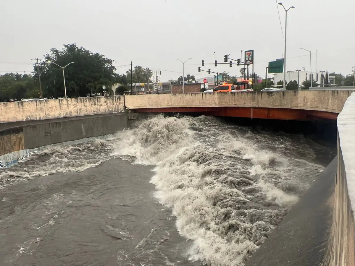 Las intensas lluvias del lunes afectaron varias áreas con árboles caídos y daños a viviendas.