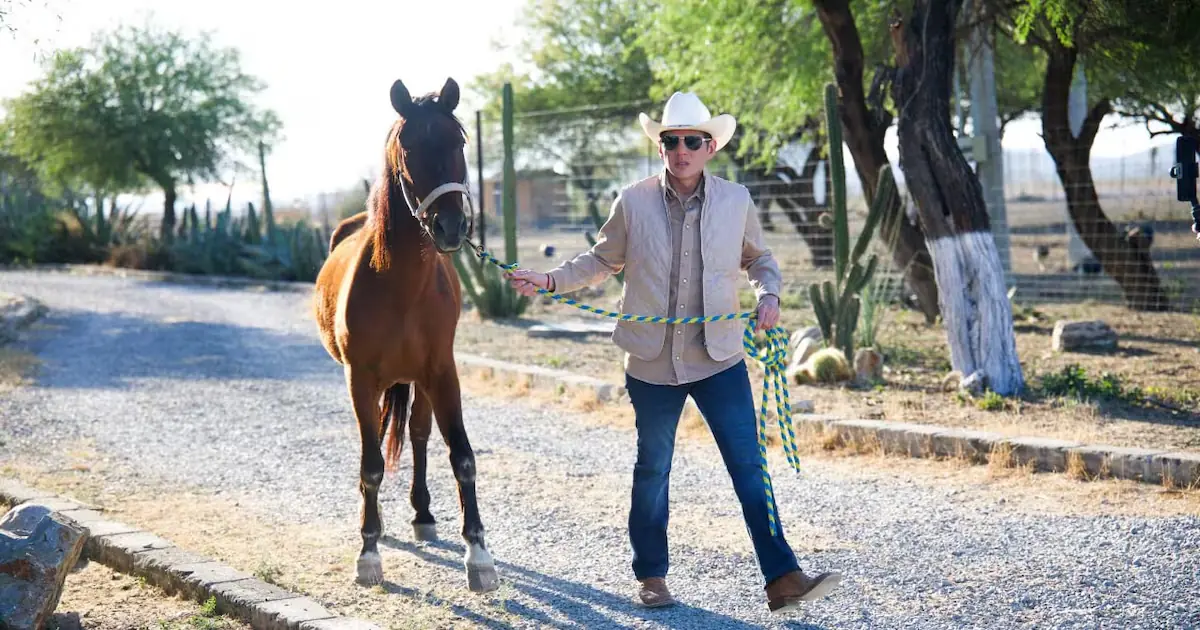 La iniciativa busca ser el santuario más grande de Latinoamérica para brindar refugio y rehabilitación a caballos en riesgo.