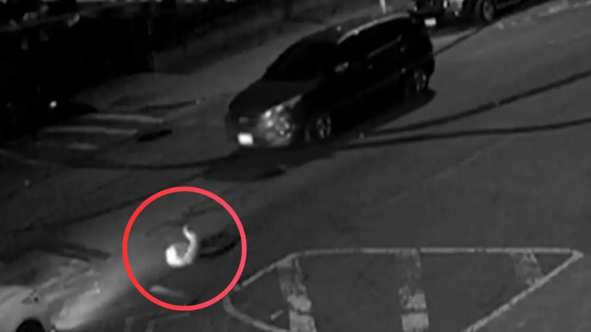 La Policía investiga extraños avistamientos de personas saliendo de alcantarillas en Brooklyn.
