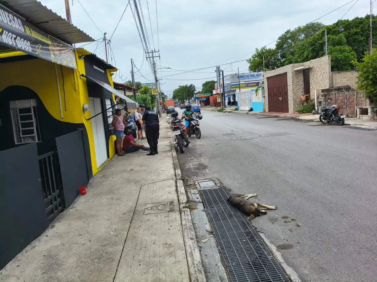 Un joven de 24 años resultó herido al perder el control de su moto tras el accidente.