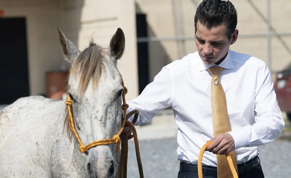 Kawayo se convertirá en un lugar de rescate y rehabilitación para caballos en abandono.