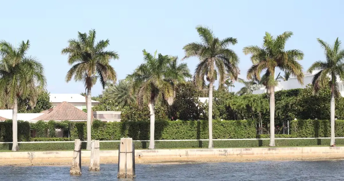 Descubre cómo este destino combina fútbol, cultura y naturaleza en Florida.