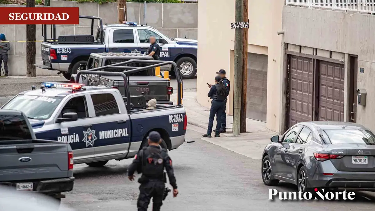La SSPCM refuerza medidas de seguridad, logrando decomisos significativos y recuperación de vehículos robados.