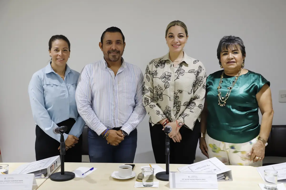 Se busca reformar la Constitución para preservar la integridad electoral del estado ante injerencias externas.