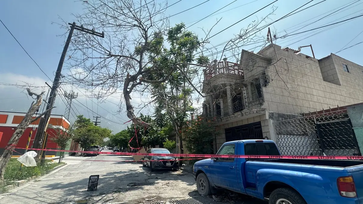 La presencia de ramas en la vía pública obliga a peatones a transitar por la calle, aumentando el peligro de accidentes.