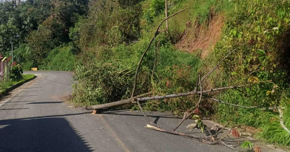 Las lluvias afectan el tránsito y la seguridad en la carretera hacia San Pedro.