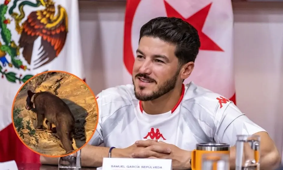 El gobernador de Nuevo León llama a la responsabilidad ante fauna silvestre tras avistamiento.