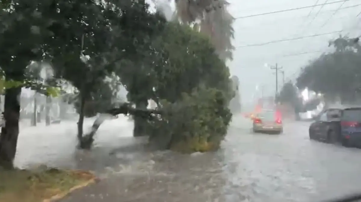 Intensas lluvias dejan un saldo trágico y múltiples afectaciones en la Zona Metropolitana de Monterrey.