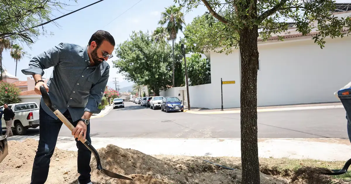La jornada de arborización supera los 500 árboles plantados en el municipio.