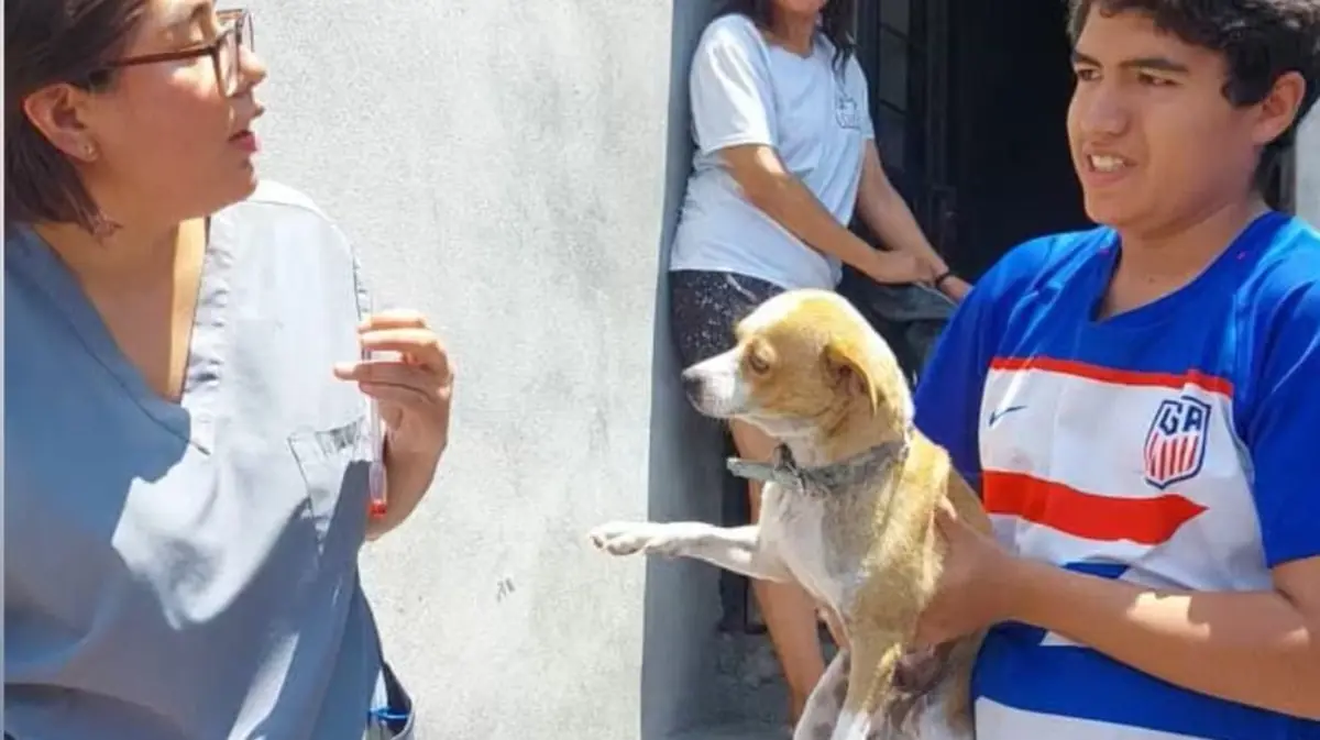 La jornada de bienestar animal en Santa Catarina facilita atención médica gratuita para mascotas en colonias vulnerables.