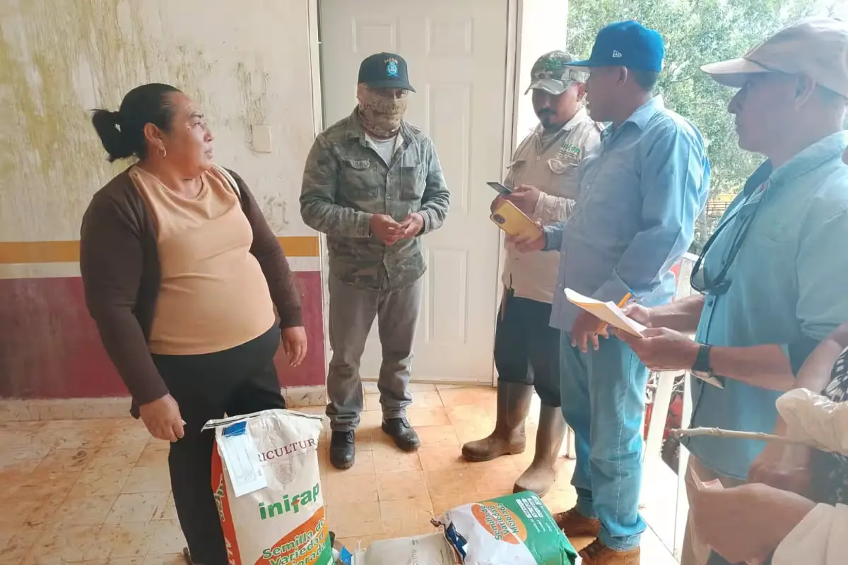 La identidad cultural agrícola y las barreras económicas afectan la adopción de semillas mejoradas.