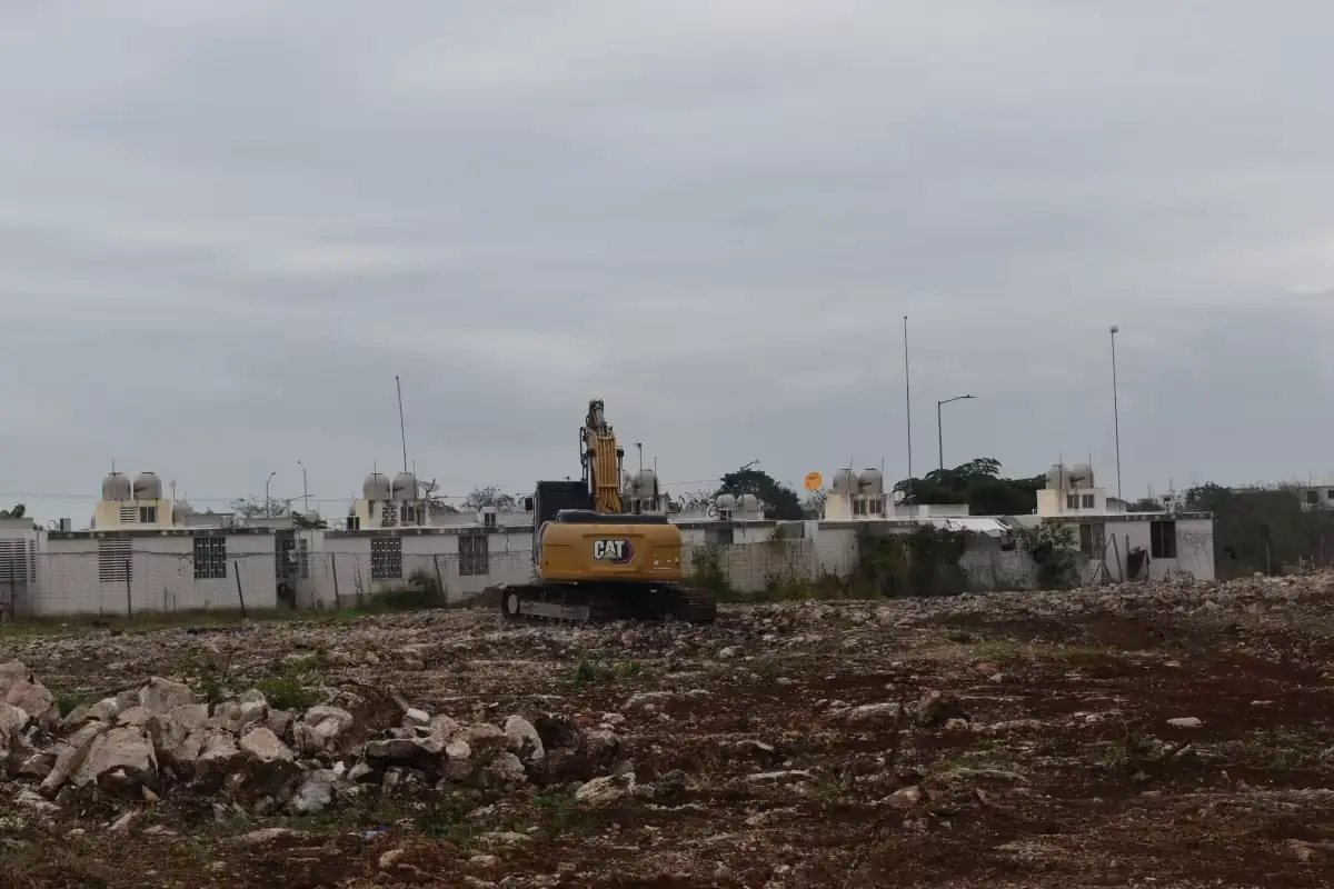 La llegada de estas viviendas puede transformar el mercado inmobiliario y ofrecer soluciones habitacionales sostenibles.