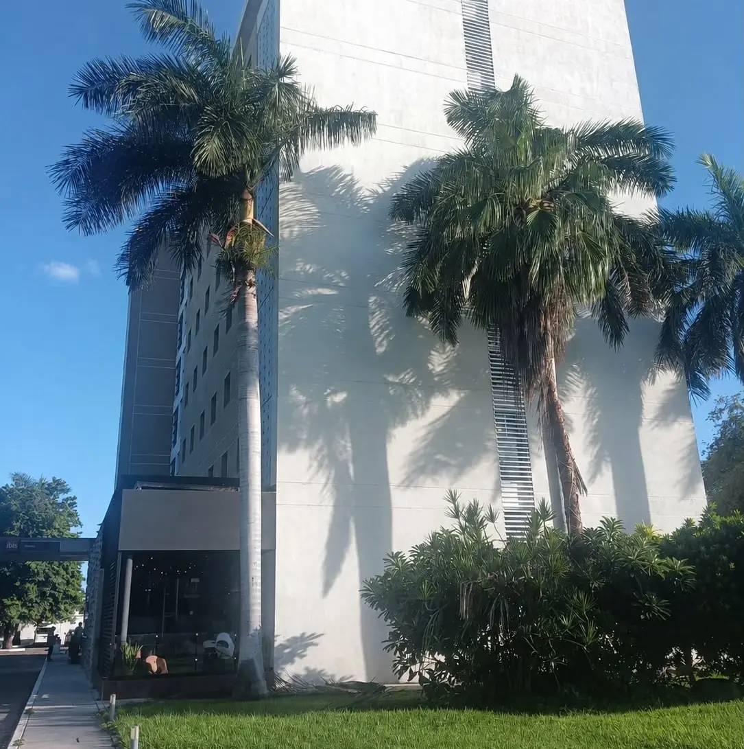 Expertos advierten sobre el posible subdiagnóstico de la enfermedad en Yucatán.