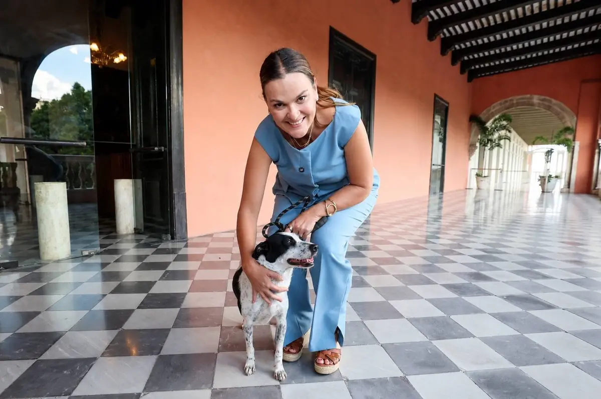 Se realizan actividades para fomentar el bienestar animal y la adopción en el CEMAA.