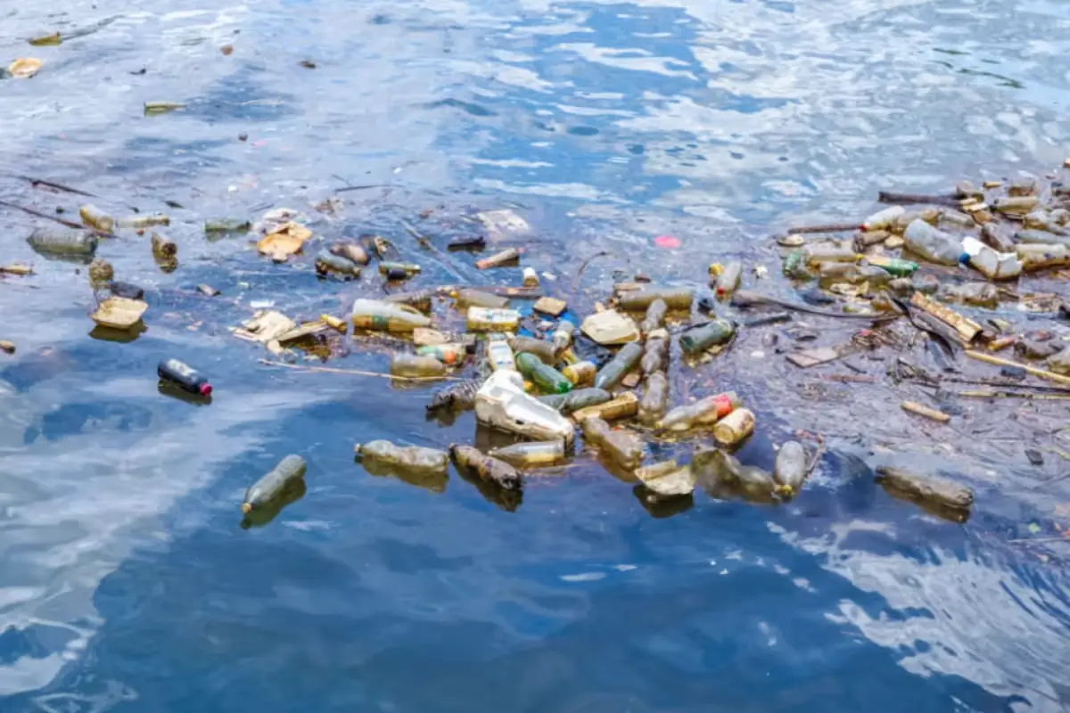 La acumulación de residuos y aceites pone en riesgo ecosistemas costeros y la actividad pesquera local.