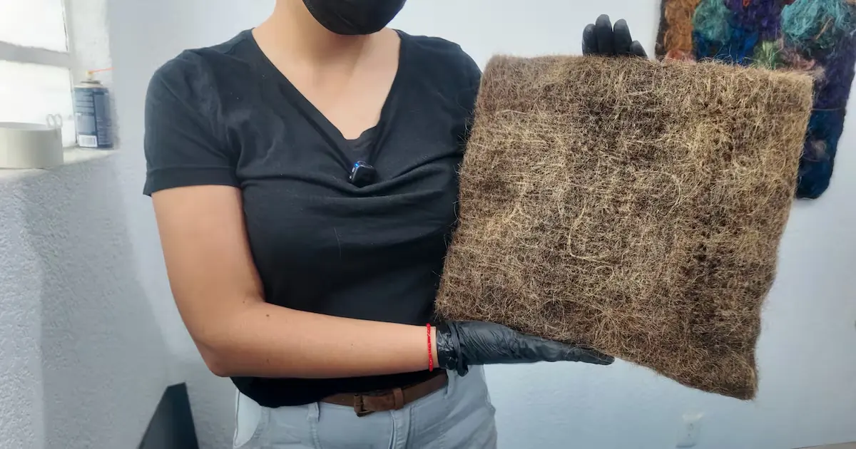 La recolección de cabello se convierte en una herramienta eficaz contra la contaminación hídrica en México.
