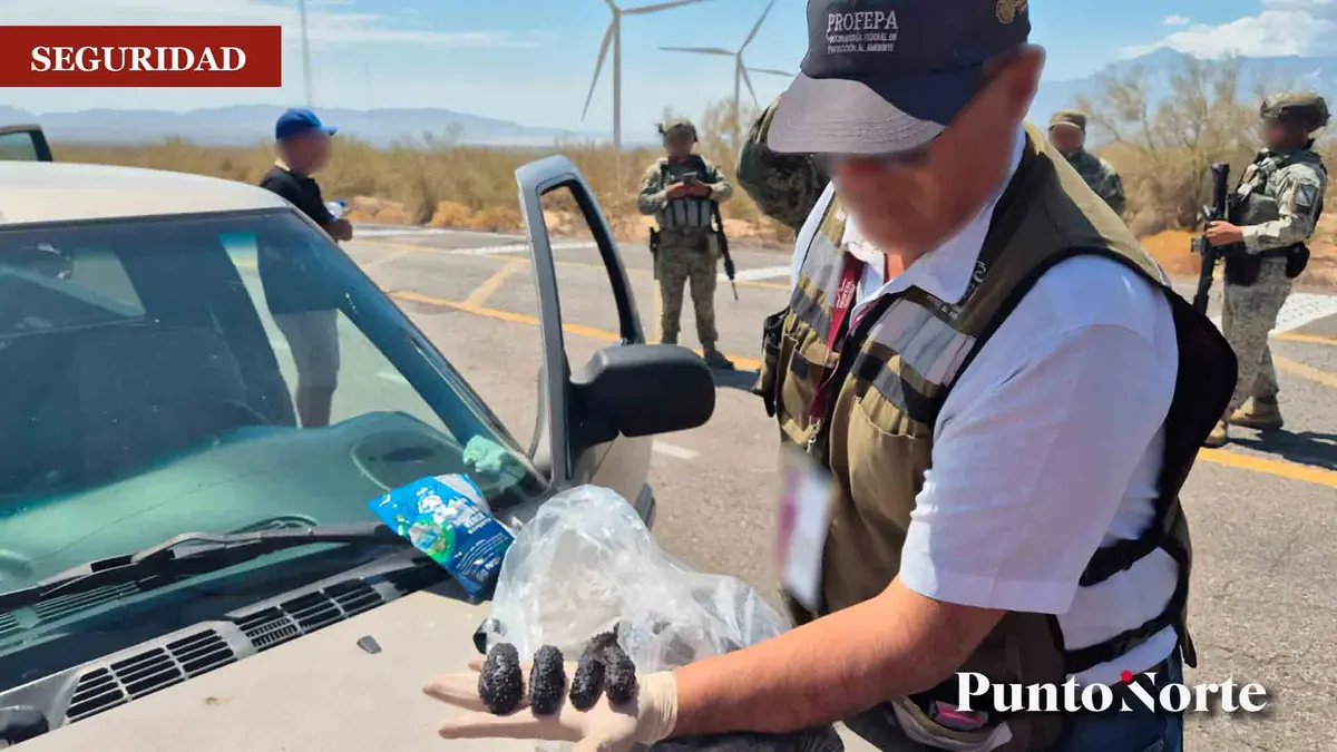 La captura demuestra un esfuerzo para proteger especies en peligro en México.