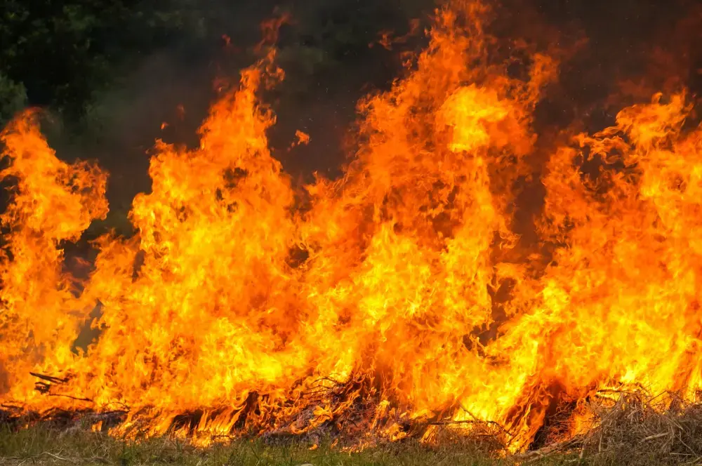Los incendios han afectado a más de 12.000 hectáreas y evacuado a 20.000 personas, incluidas personas mayores.