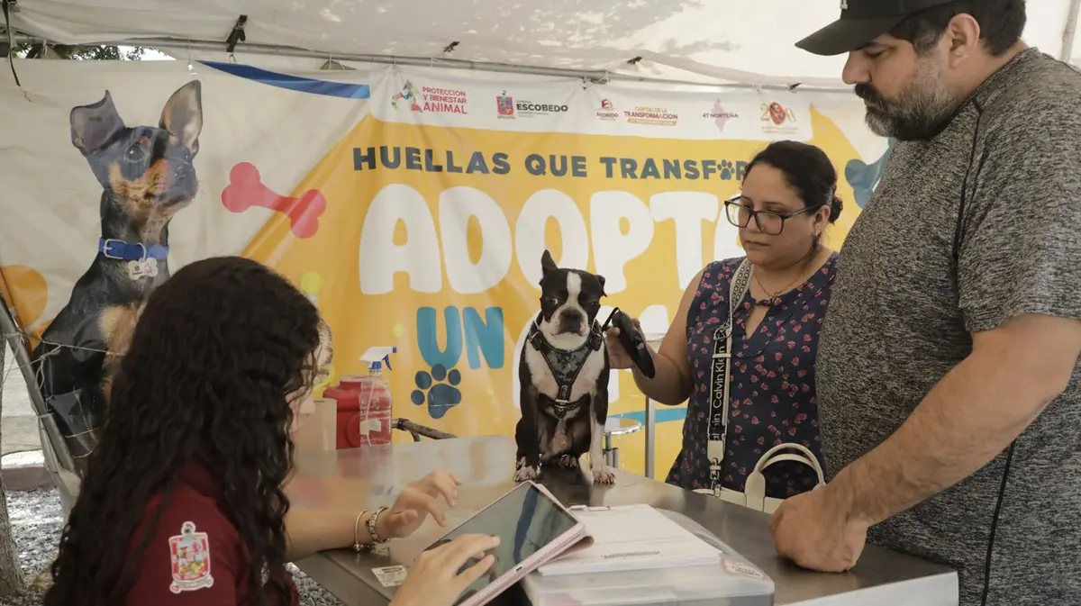 Se han realizado 197 adopciones en el primer semestre del año en Escobedo.