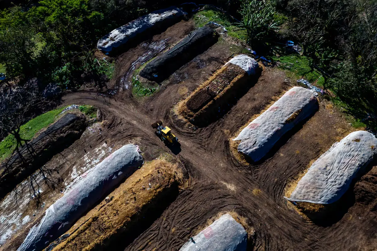 Florianópolis se destaca por su innovadora gestión de residuos, premiada por la ONU como 'Basura Cero'.