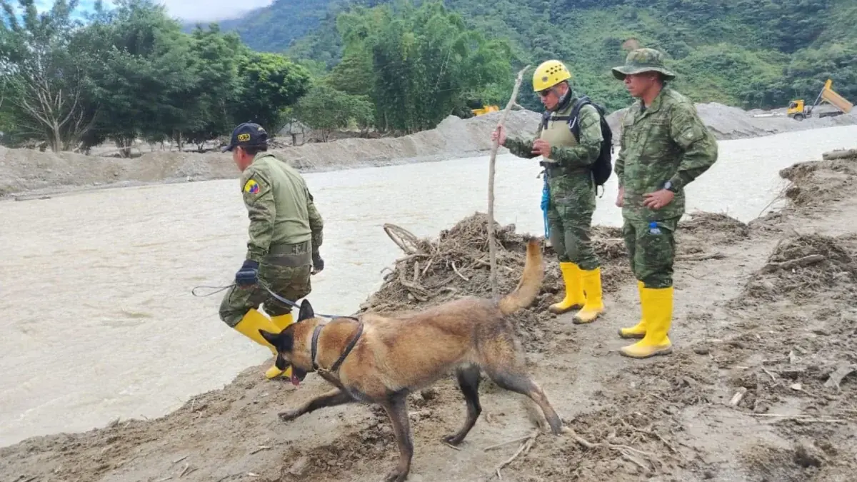 El hallazgo se produce mientras continúa la búsqueda de desaparecidos en la zona afectada por el deslave.