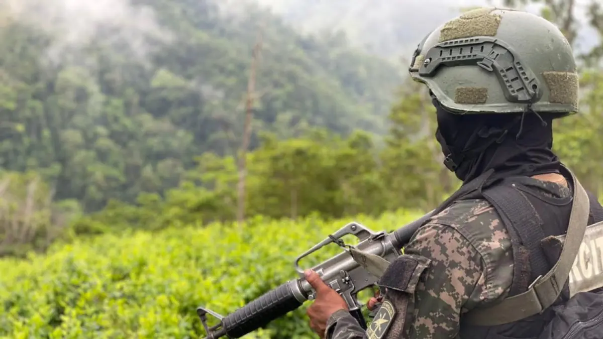 Las autoridades mexicanas defienden sus acciones contra cárteles de drogas y destacan logros en el combate al crimen.
