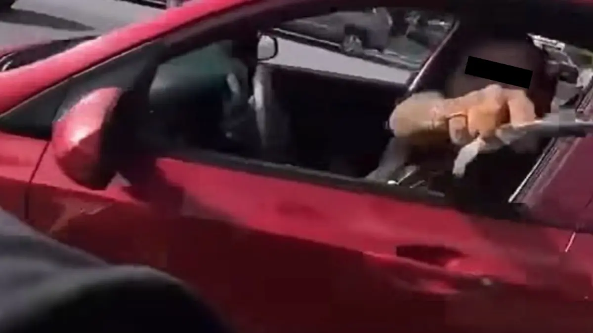 Las autoridades realizan indagatorias tras la difusión de un video, aunque no hay denuncia oficial.