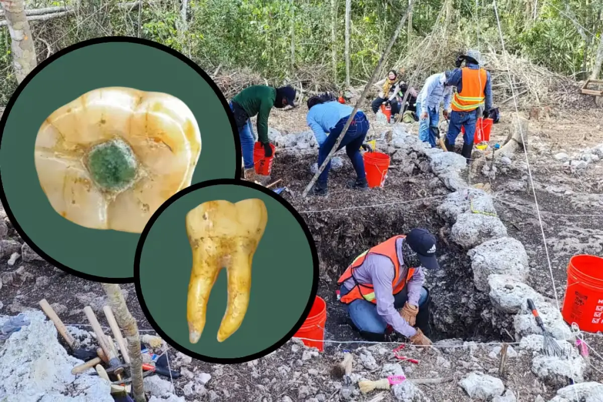 Investigadores yucatecos demuestran un enfoque terapéutico en un diente con incrustación de jade, cambiando lo que se conocía sobre esta civilización.