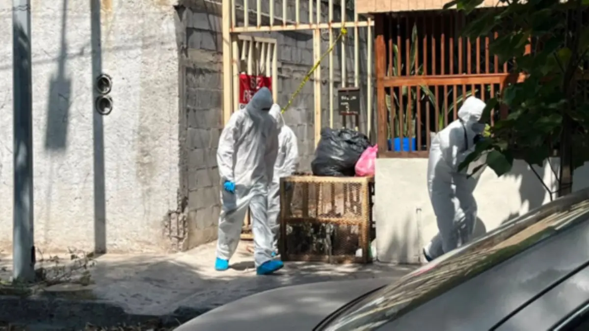 El descubrimiento se realizó tras reportes de olores fetidos en la colonia Talleres.