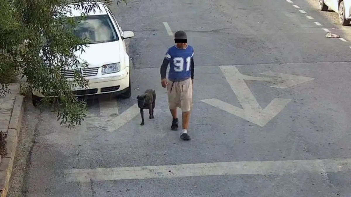 Un incidente de agresión en Monterrey provoca la intervención policial y el resguardo de los animales.
